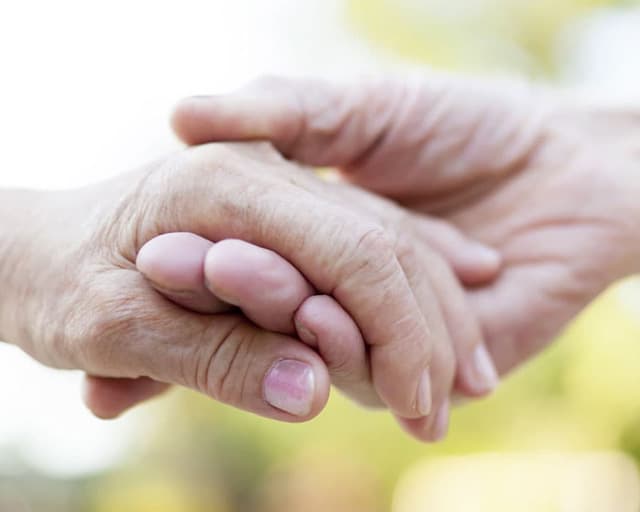Servicios dirigidos a nuestros mayores y/o dependientes
